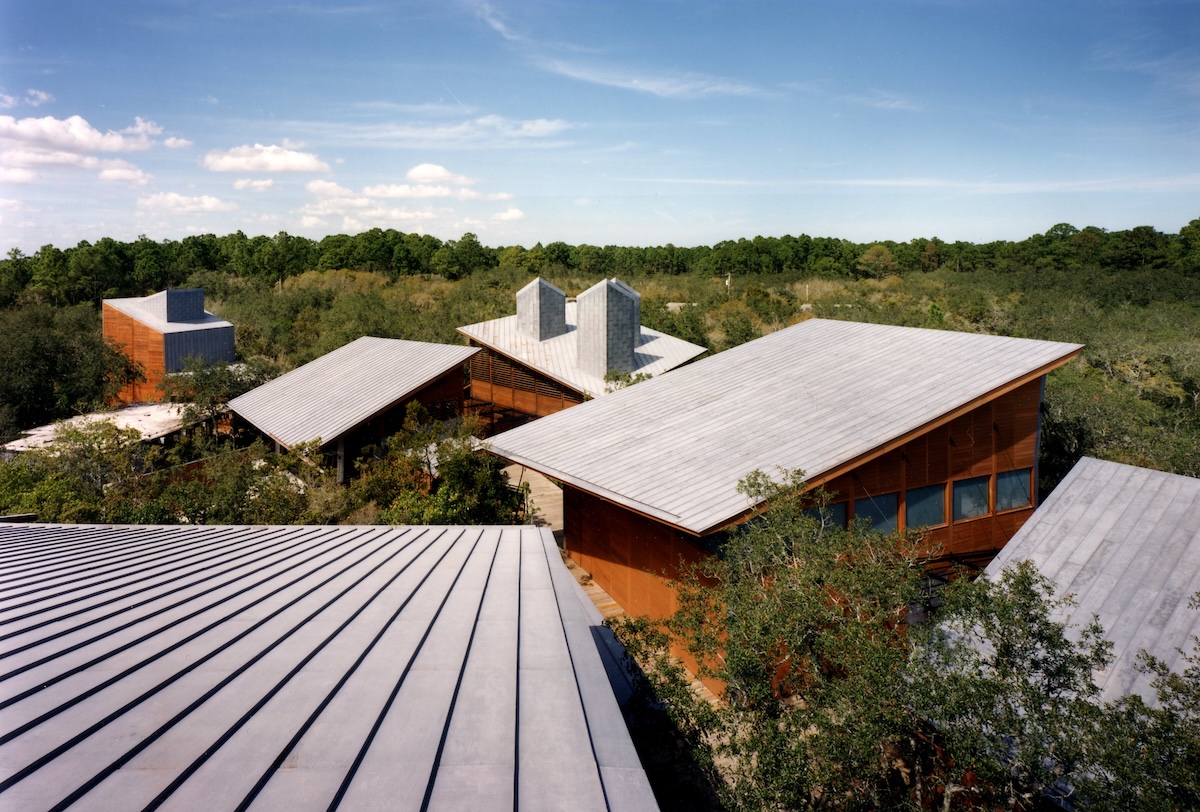 Residencia|Mentor Artist