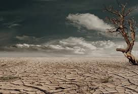 Premio︱James Balog Earth Vision